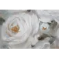 OBRAZ NA PŁÓTNIE CREM FLOWER 80x3,7x100 cm